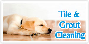 tile-and-grout-cleaners